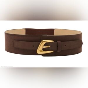 Wide Brown Suede Belt with Gold Buckle